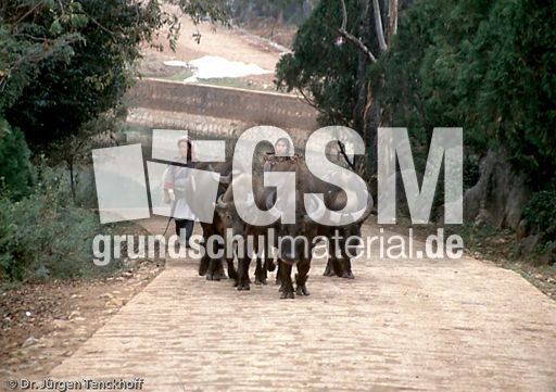 China (8 von 257).jpg